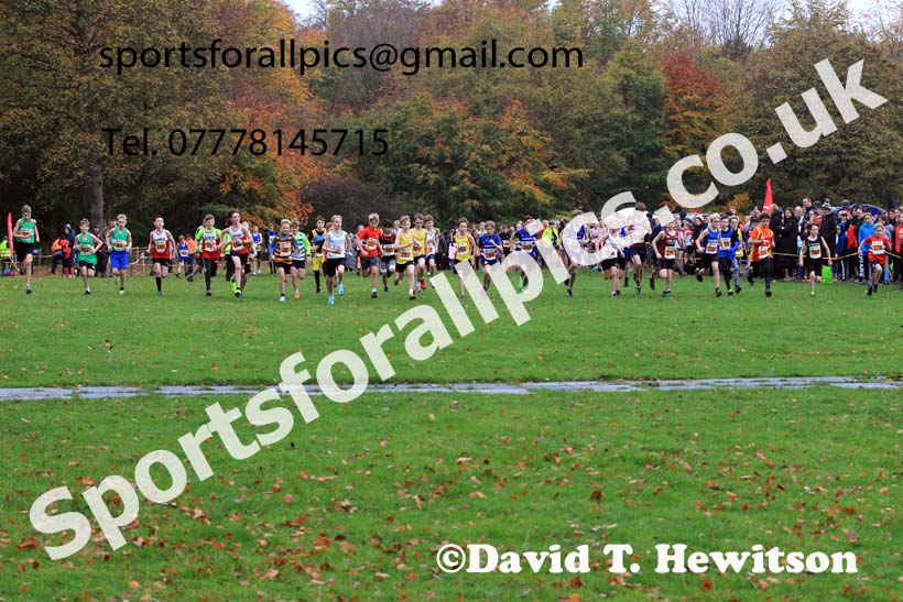Boys under-13s, Start Fitness NEHL, Lambton Castle, Durham.  Photo: David T. Hewitson/Sports for All Pics